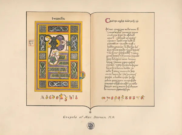The Gospels of MacDurnan II av John Obadiah Westwood