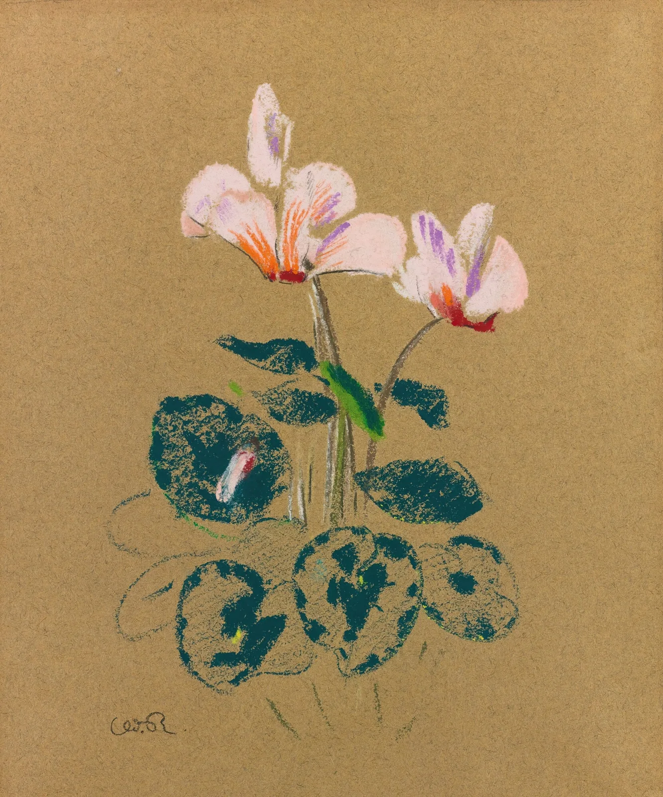 Cyclamen av Odilon Redon