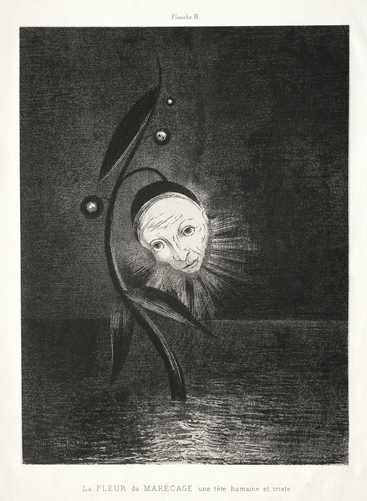 The Marsh Flower, a Sad Human Head av Odilon Redon