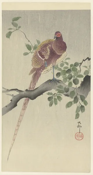 Copper pheasant av Ohara Koson