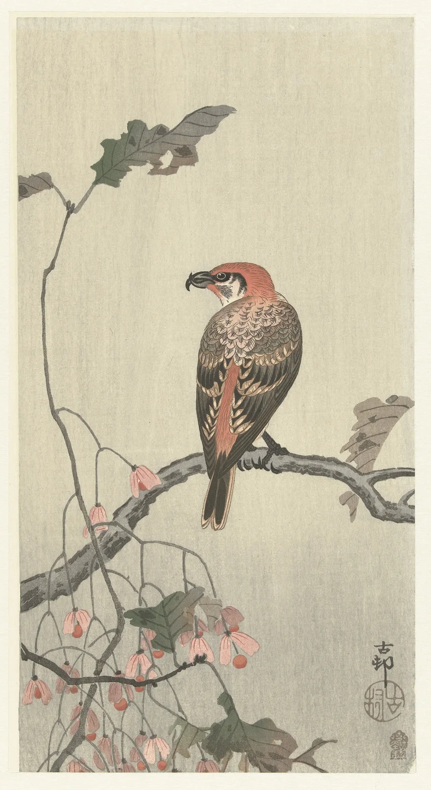 Crossbill on tree branch av Ohara Koson
