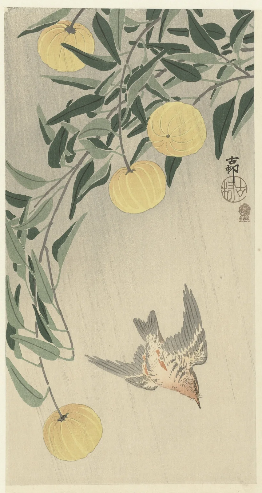 Cuckoo in the rain av Ohara Koson