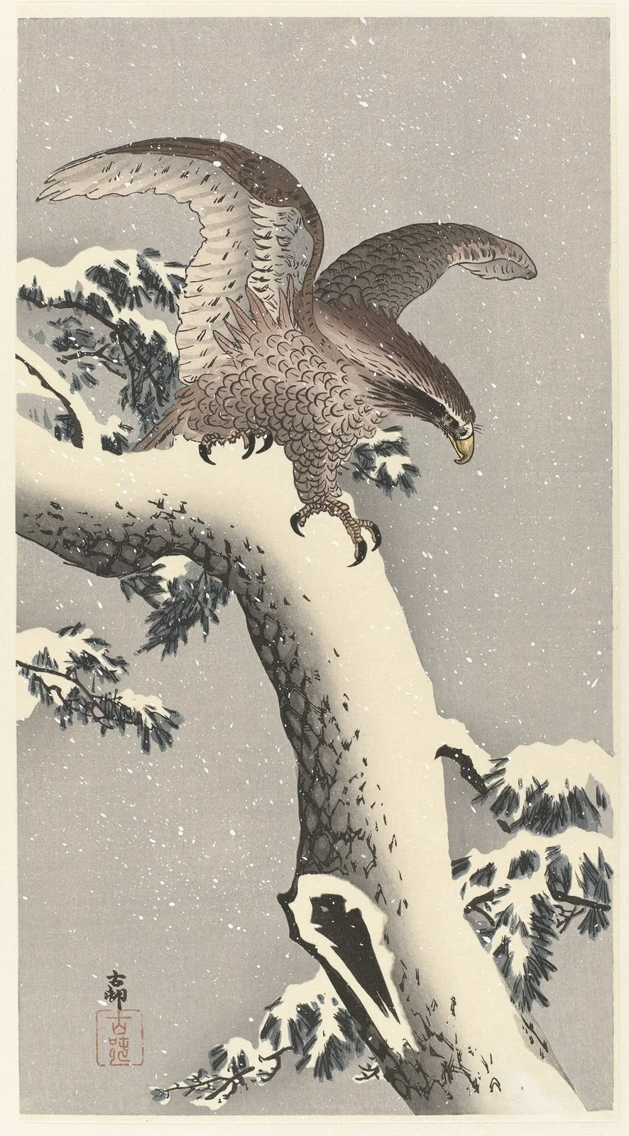 Eagle on snowy pine tree av Ohara Koson