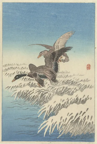 Flock of ducks flying above snowy reed collar av Ohara Koson