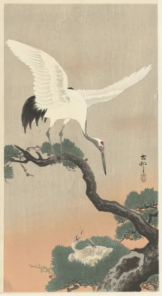 Japanese common crane on branch of pine av Ohara Koson