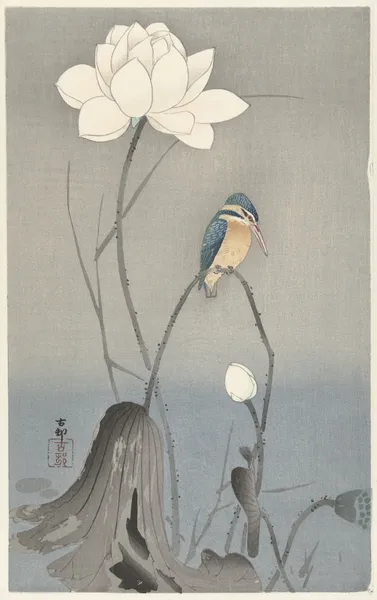 Kingfisher with Lotus Flower av Ohara Koson