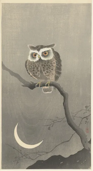 Long-eared owl on bare tree branch av Ohara Koson