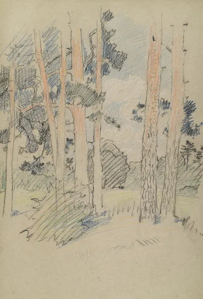 Naturstudie mit Kiefern av Otto Eckmann