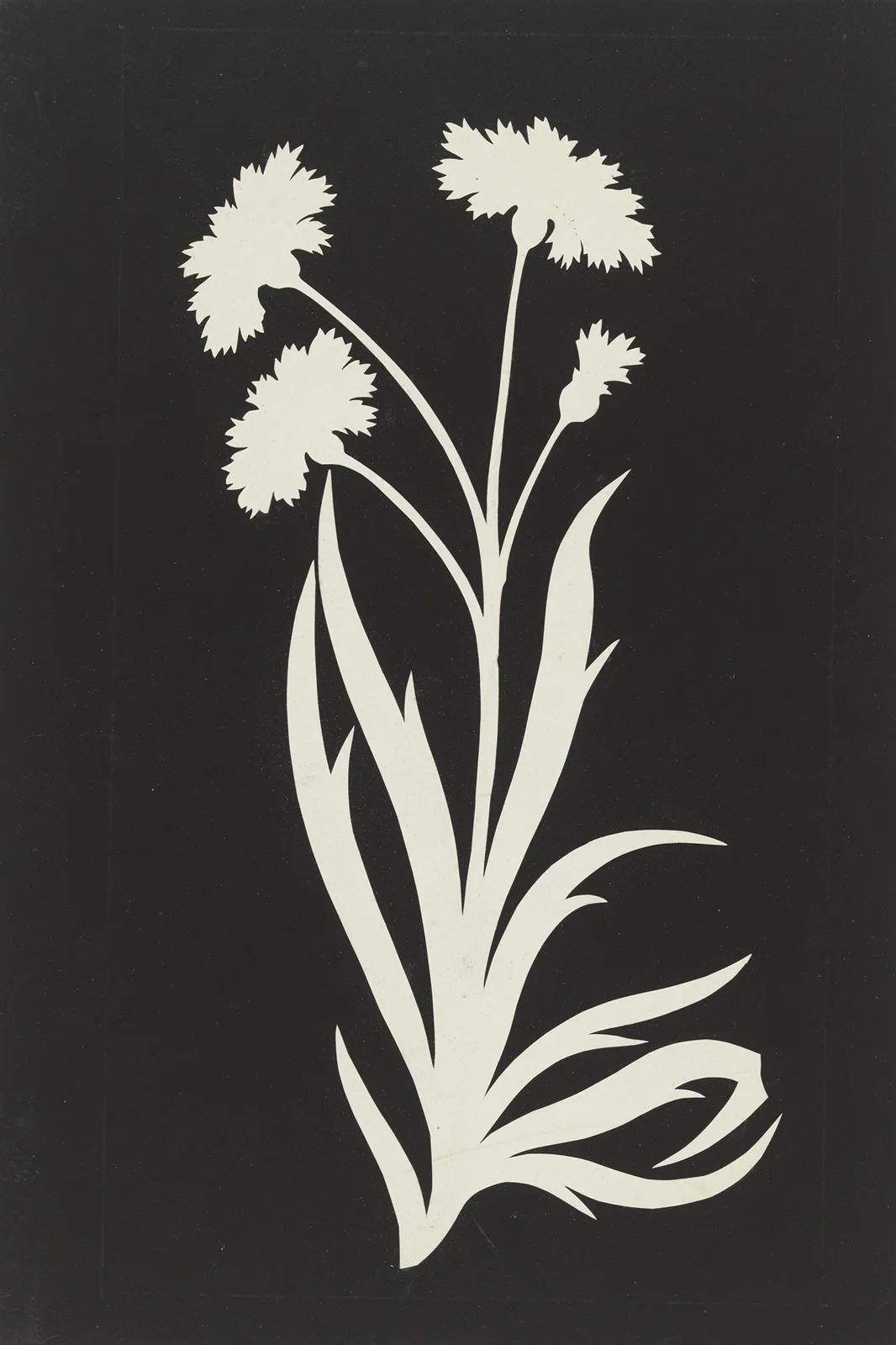 Cornflower av Philipp Otto Runge