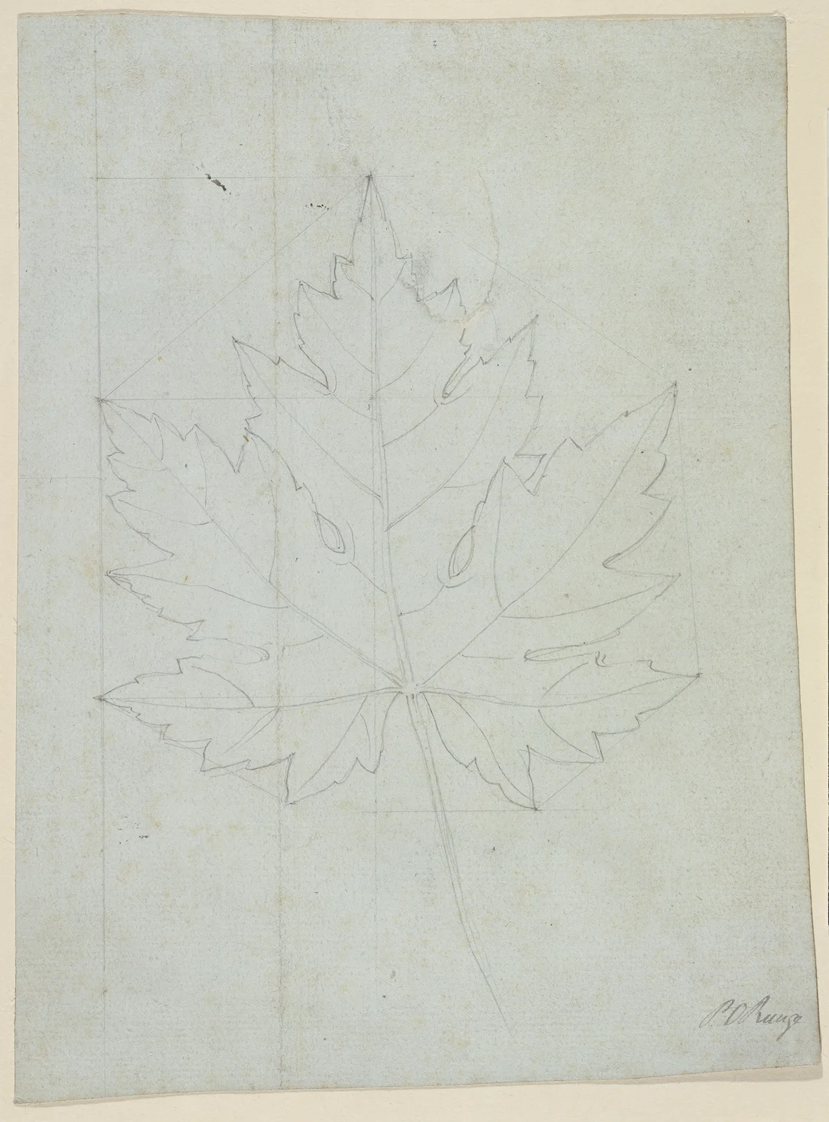 Maple leaf av Philipp Otto Runge