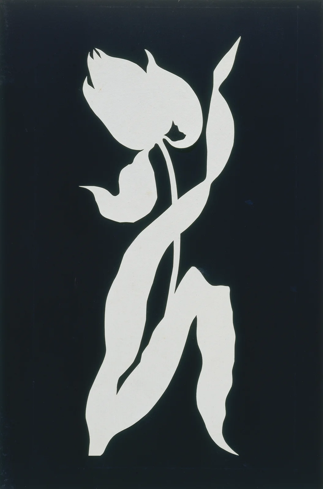 Tulip av Philipp Otto Runge