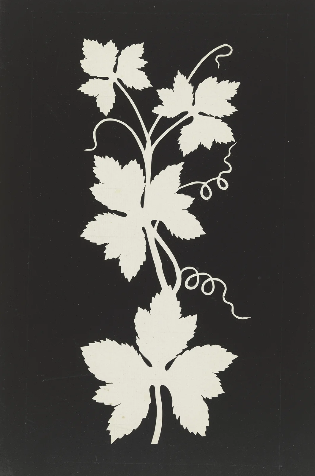 Vine leaves av Philipp Otto Runge
