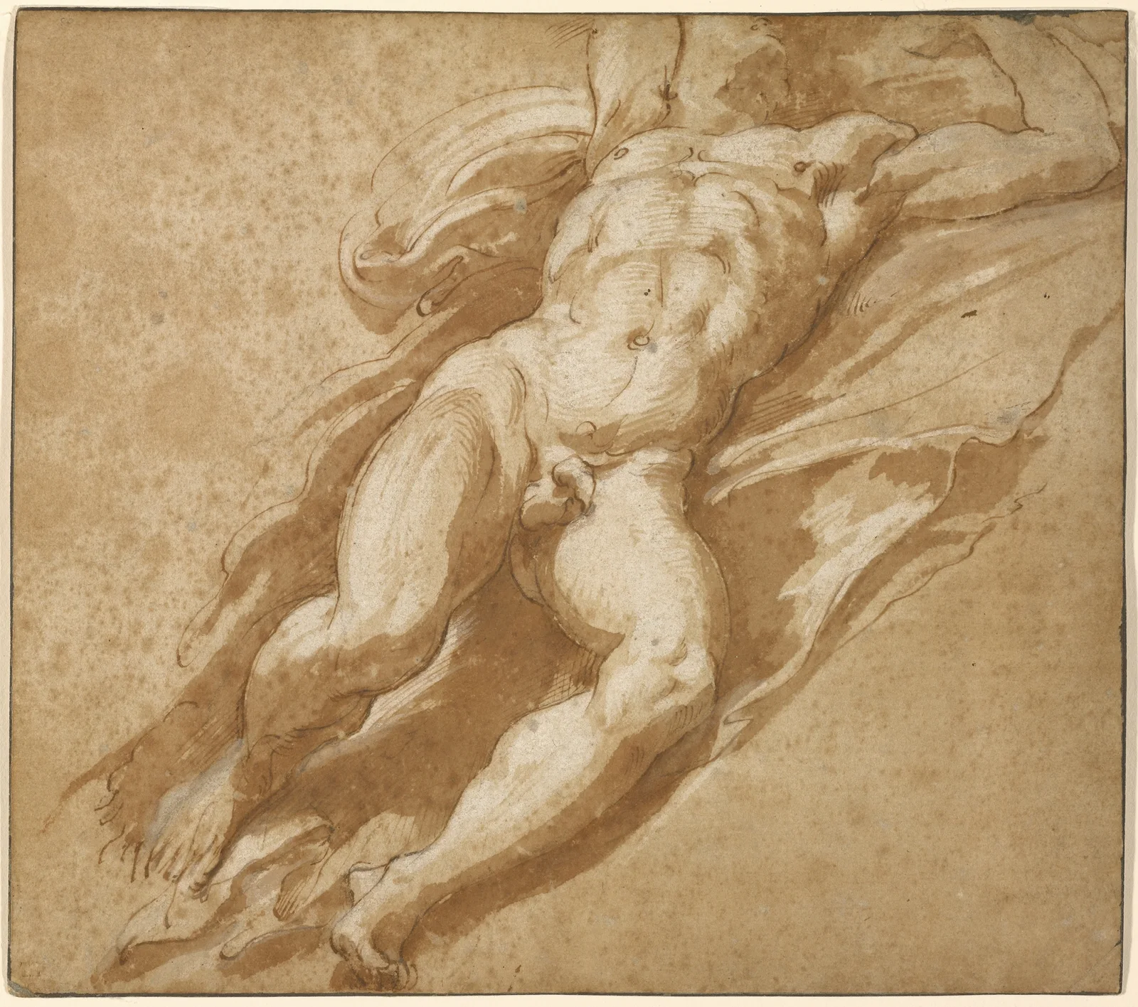 Figure Study av Parmigianino