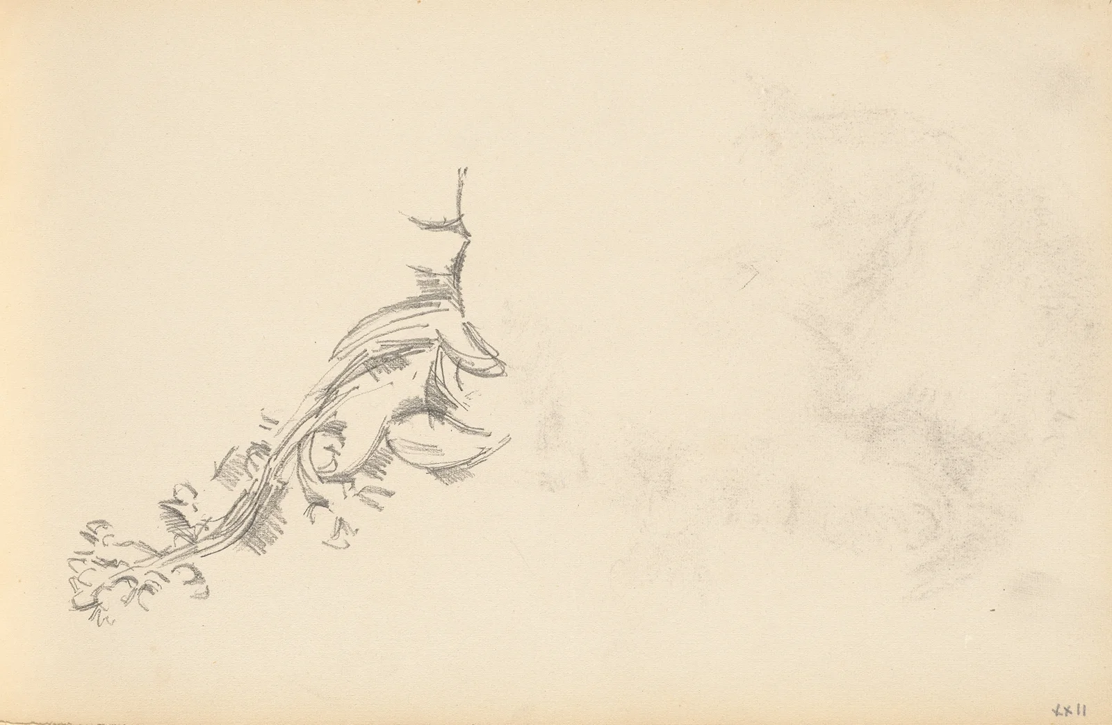 Branch in Flower av Paul Cézanne