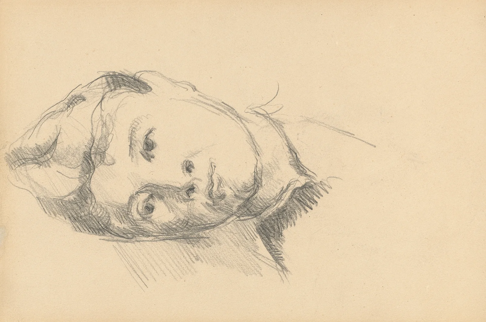 Madame Cézanne av Paul Cézanne