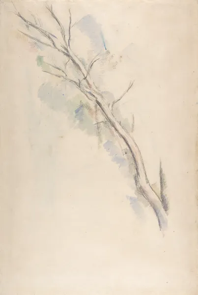 Study of a tree av Paul Cézanne