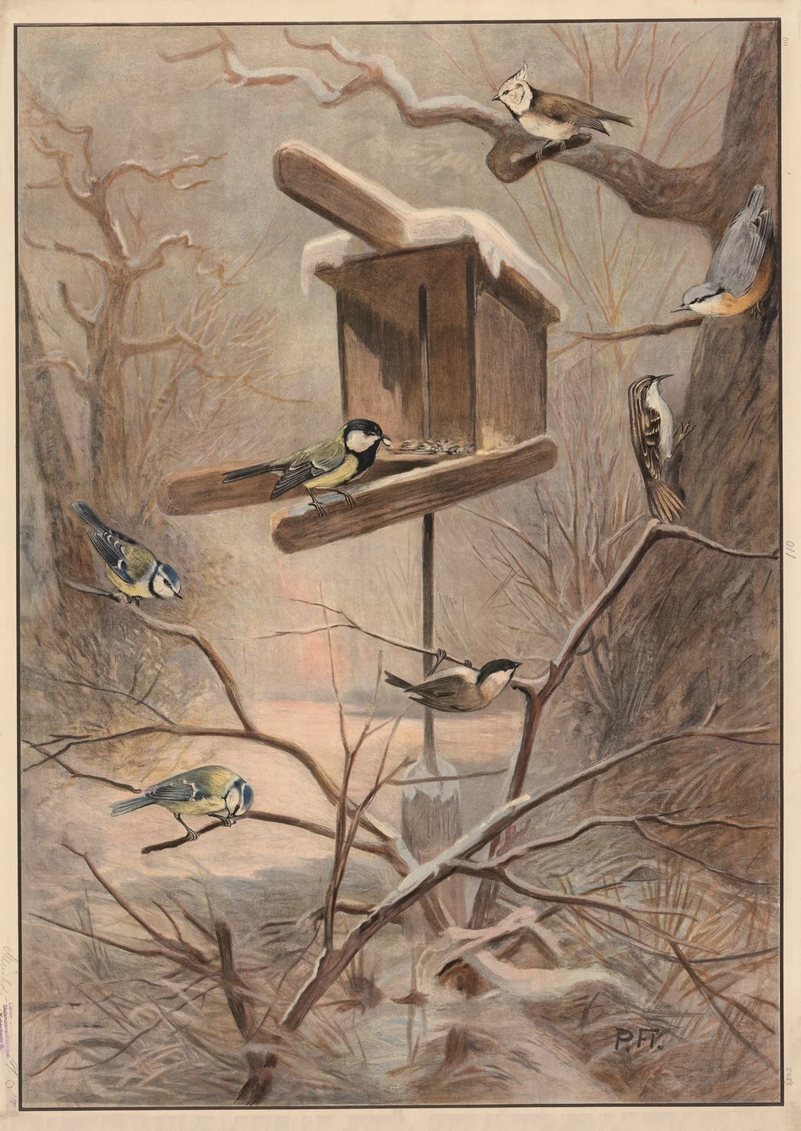 Titmice av Paul Flanderky