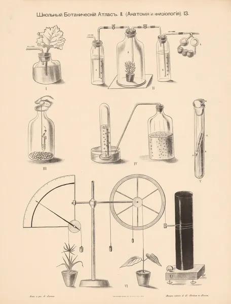 Experiments with oxygen;carbon dioxide av Alexander-Paul Henckel