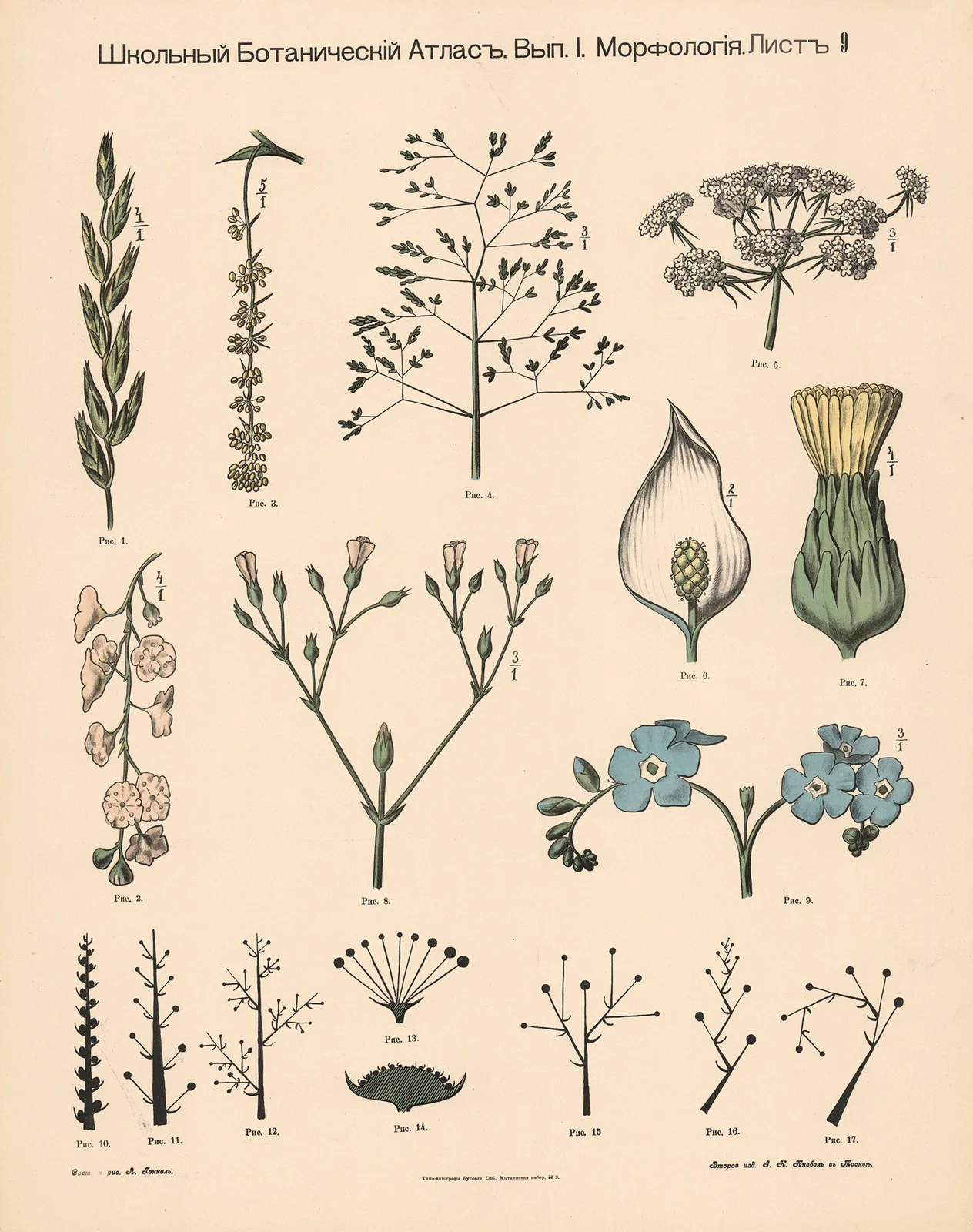 Flowers av Alexander-Paul Henckel