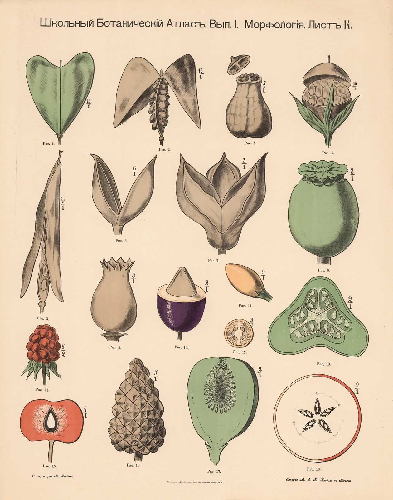 Fruits av Alexander-Paul Henckel