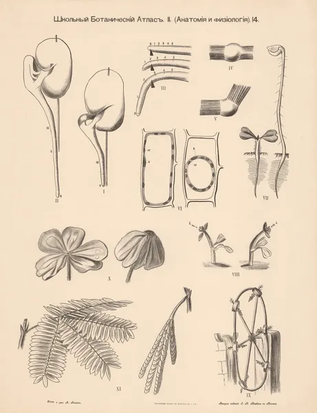 Growth conditions av Alexander-Paul Henckel