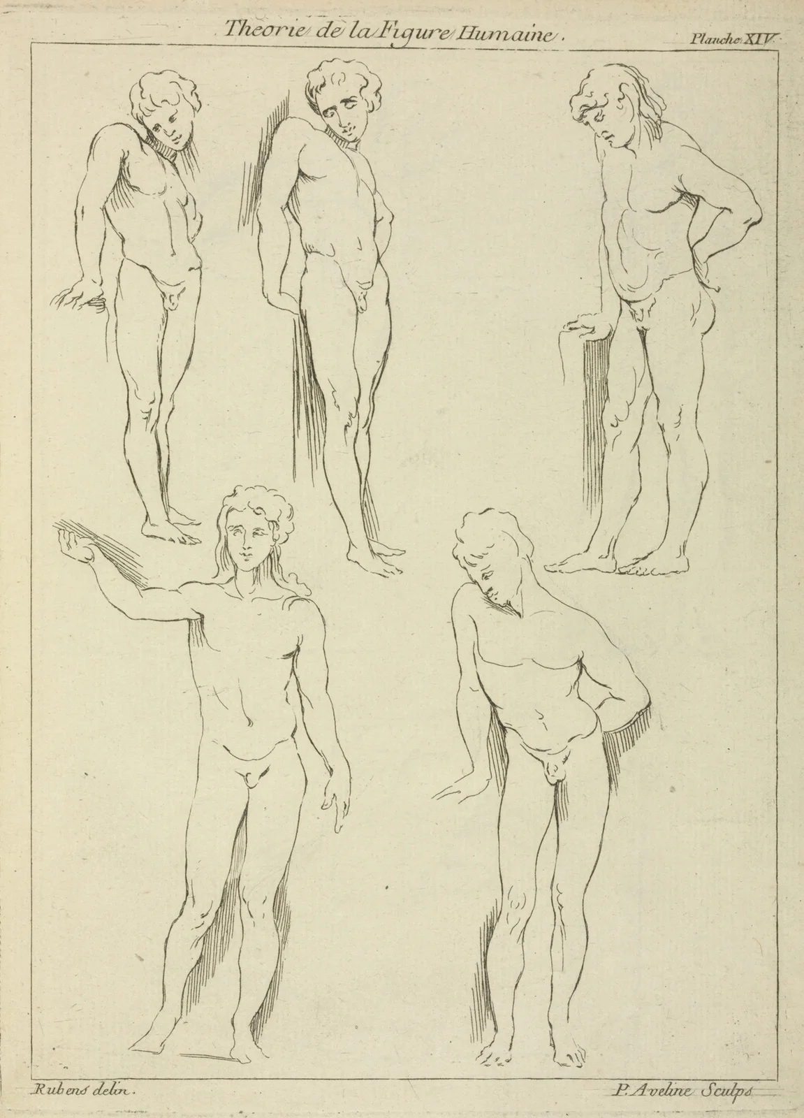 Five male figures av Peter Paul Rubens