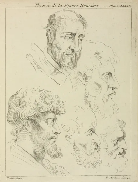 Five studies of men’s heads, four in profile av Peter Paul Rubens