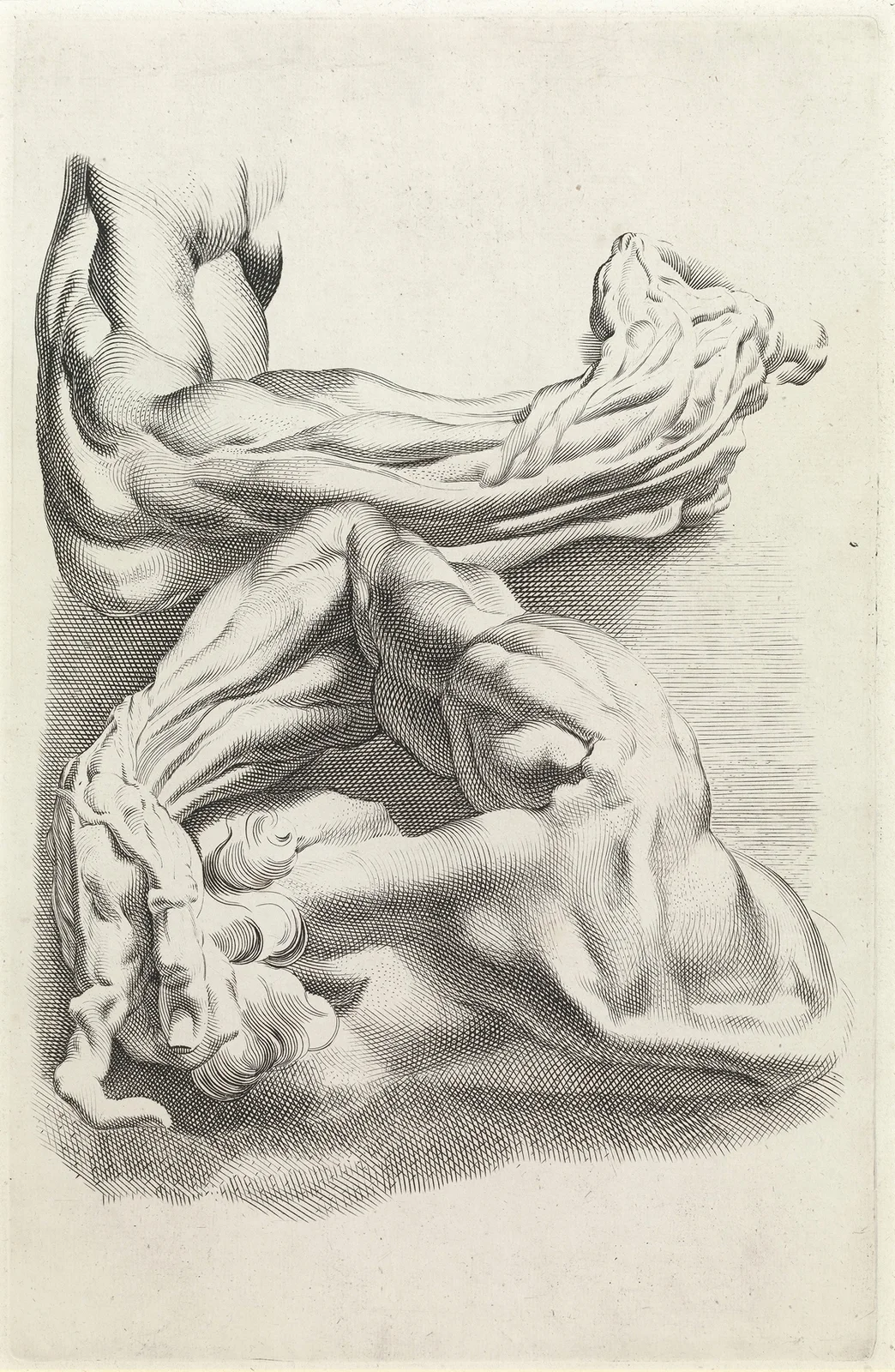Muscles av Peter Paul Rubens