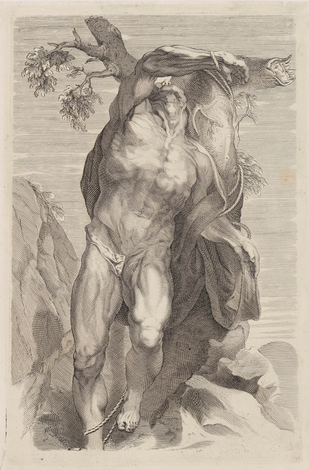 Naked Man Tied Up av Peter Paul Rubens