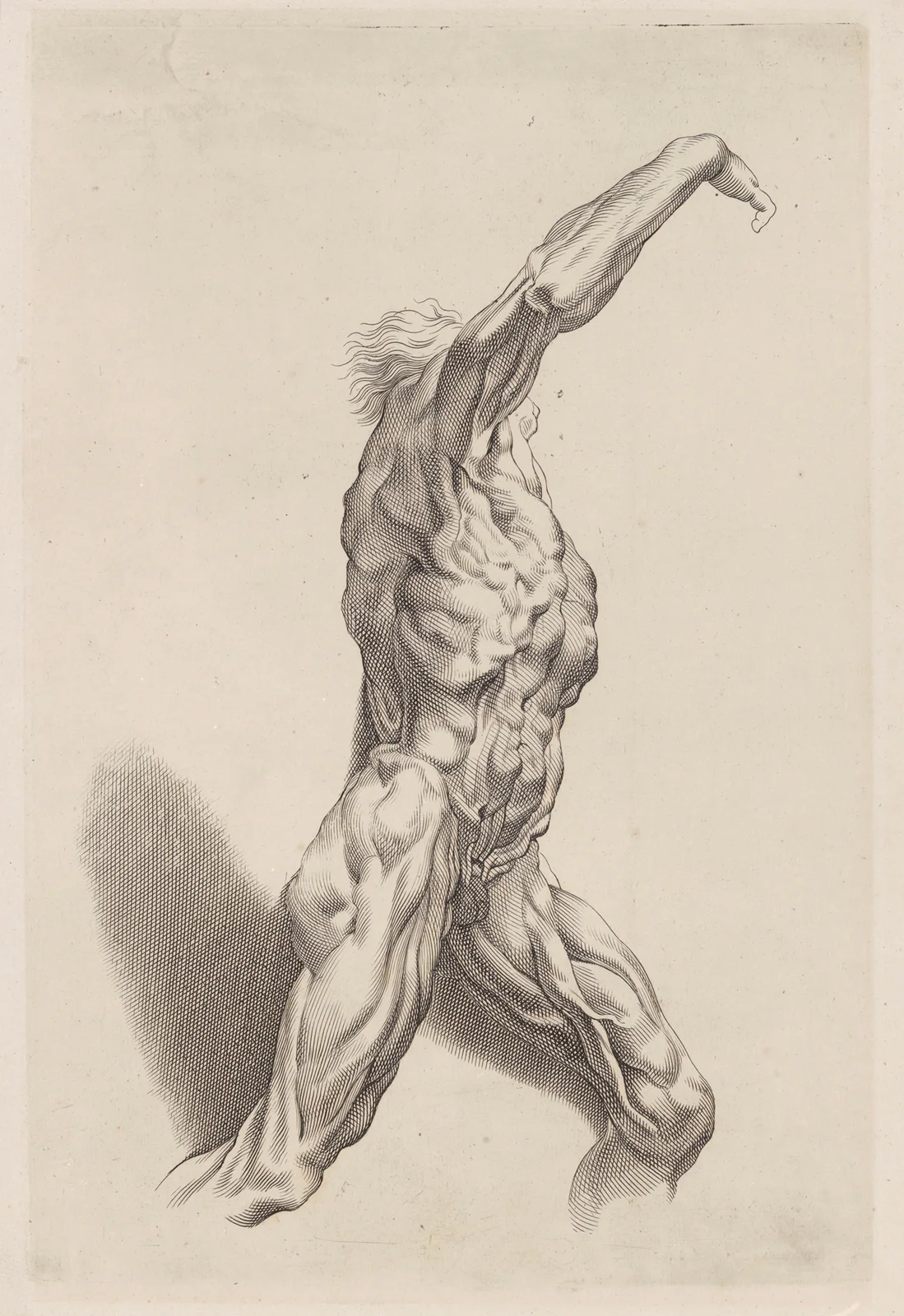 Nude Study av Peter Paul Rubens