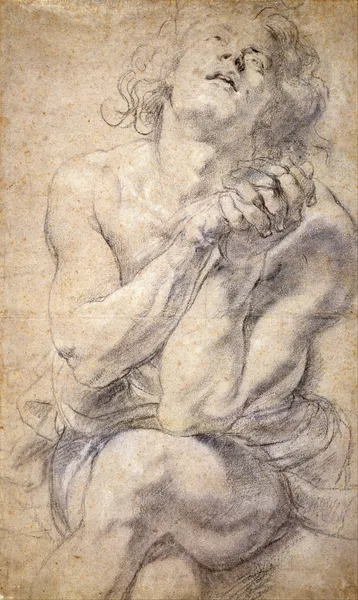 Seated Male Youth (Study for Daniel) av Peter Paul Rubens