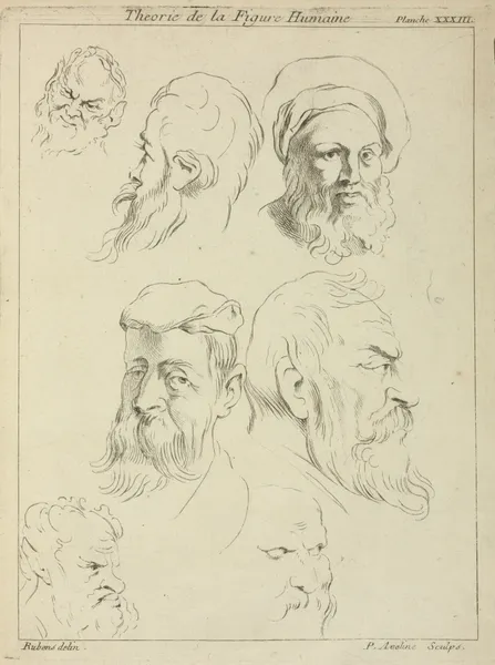 Seven male heads, all with beards, two wearing caps av Peter Paul Rubens