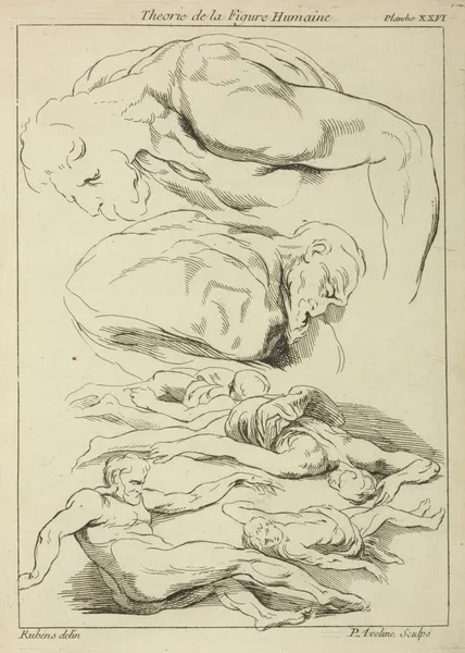 Six studies of male figures in various prone and supine positions av Peter Paul Rubens