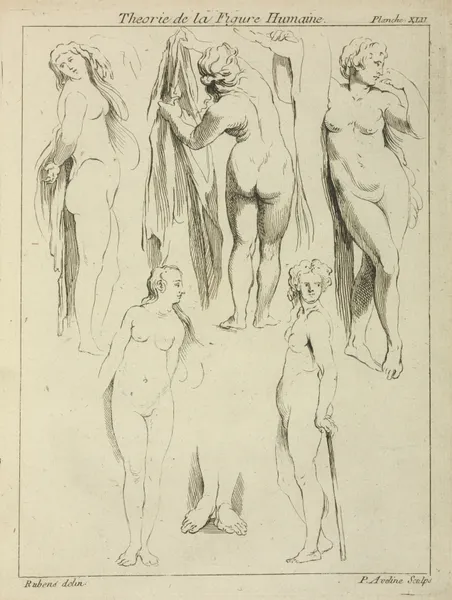 Studies of standing female nudes and a pair of feet av Peter Paul Rubens
