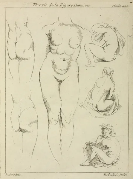 Studies of the female torso, buttocks, and seated figures, dorsal view av Peter Paul Rubens