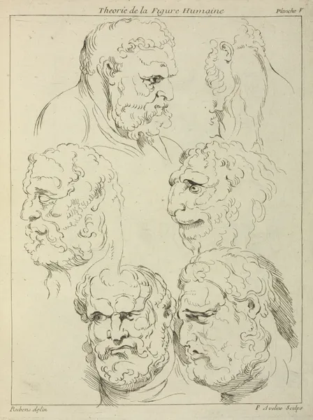 Studies of the head of a bearded man, and the head of a creature av Peter Paul Rubens