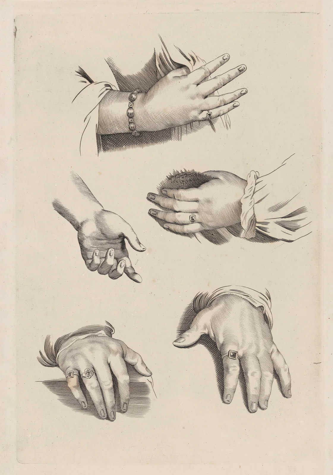 Study of Hands av Peter Paul Rubens