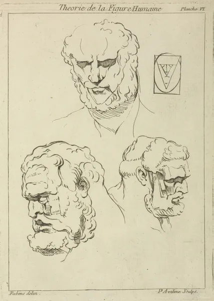 Three studies of a man’s head and beard av Peter Paul Rubens