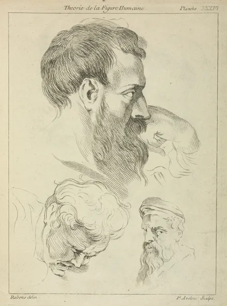Three studies of men’s heads av Peter Paul Rubens