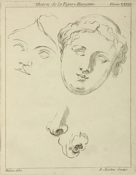 Two human female faces and two noses–one human, animal av Peter Paul Rubens