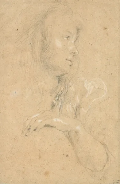 Young Woman in Profile av Peter Paul Rubens