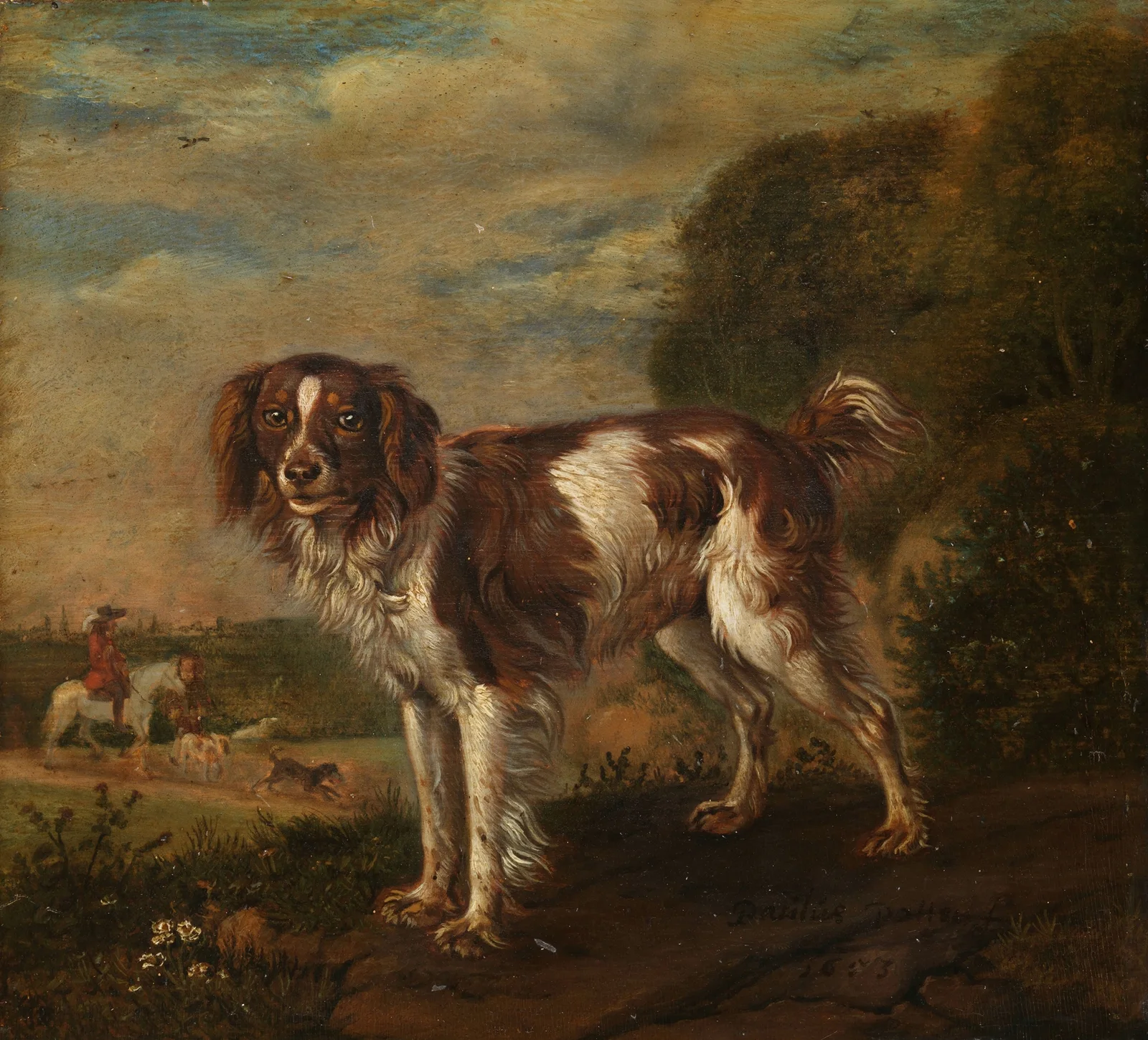 A spaniel av Paulus Potter