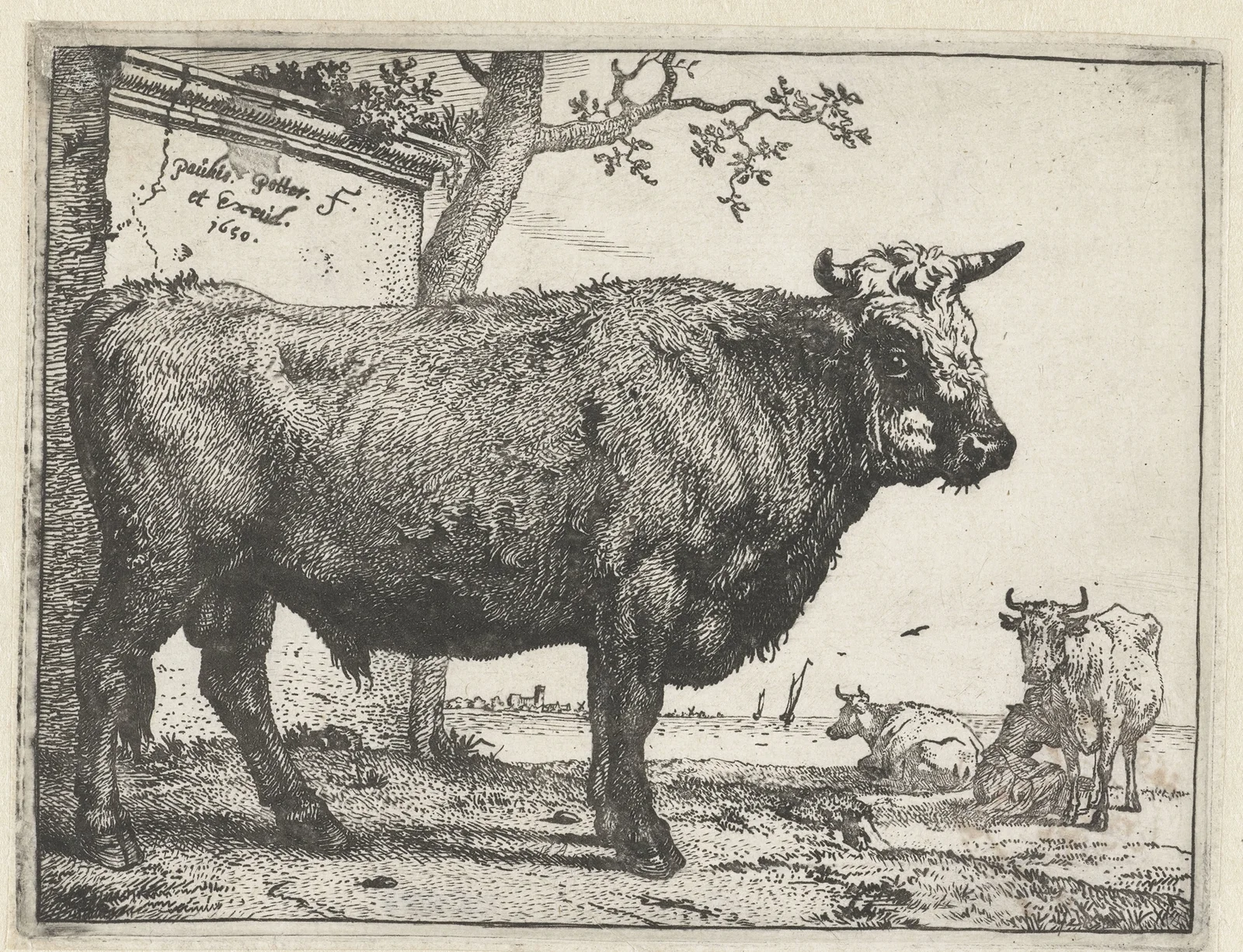 Bull av Paulus Potter