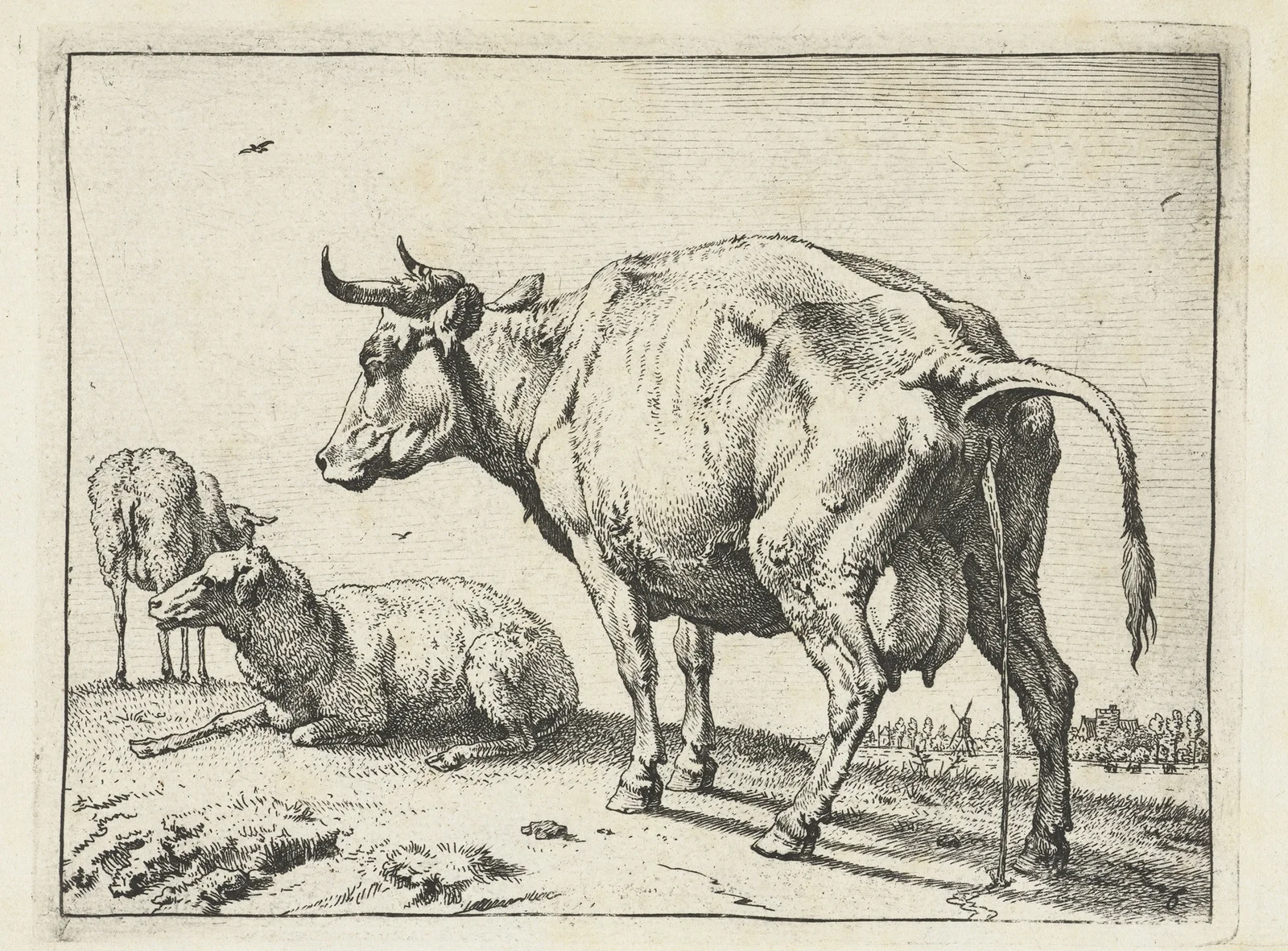 Cow peeing av Paulus Potter