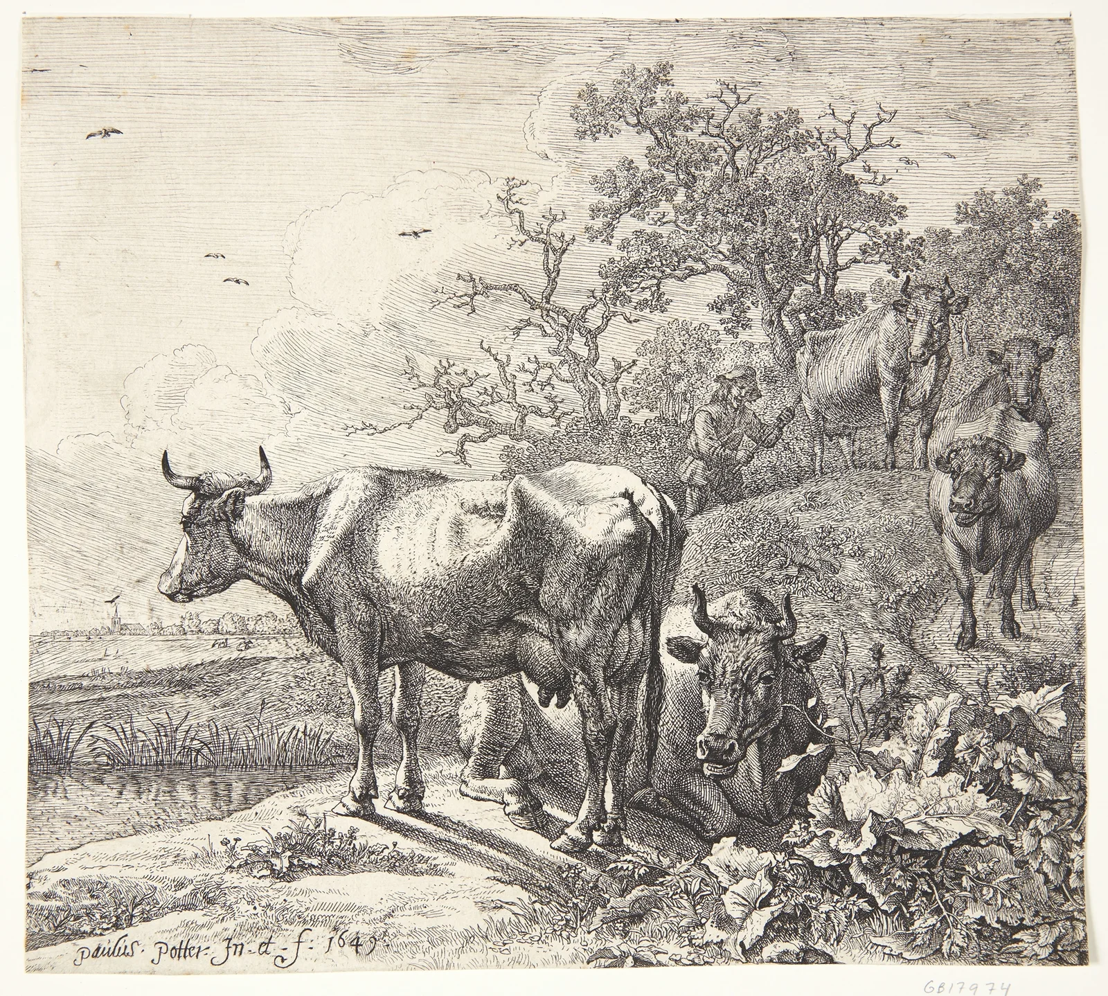 Kohyrden av Paulus Potter
