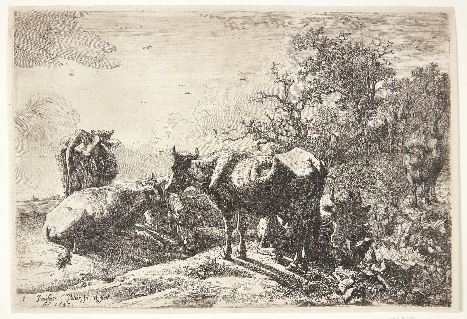 Kohyrden av Paulus Potter