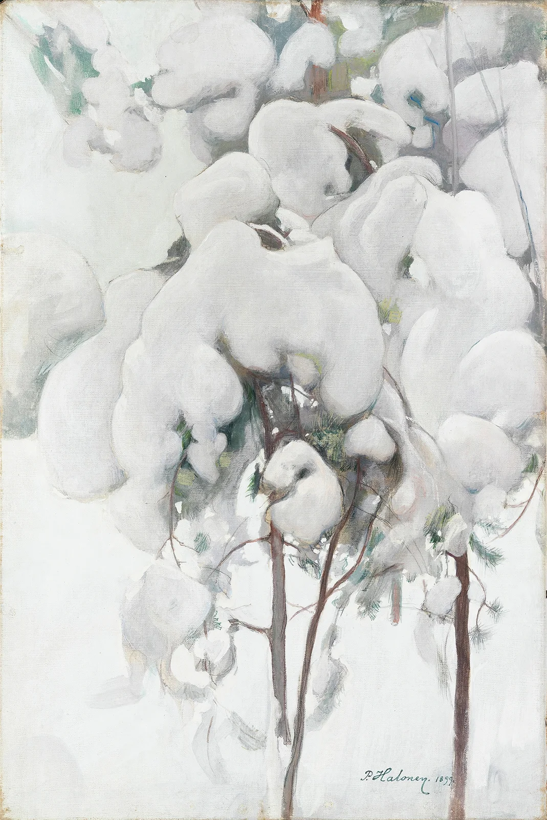 Snow-Covered Pine Saplings av Pekka Halonen