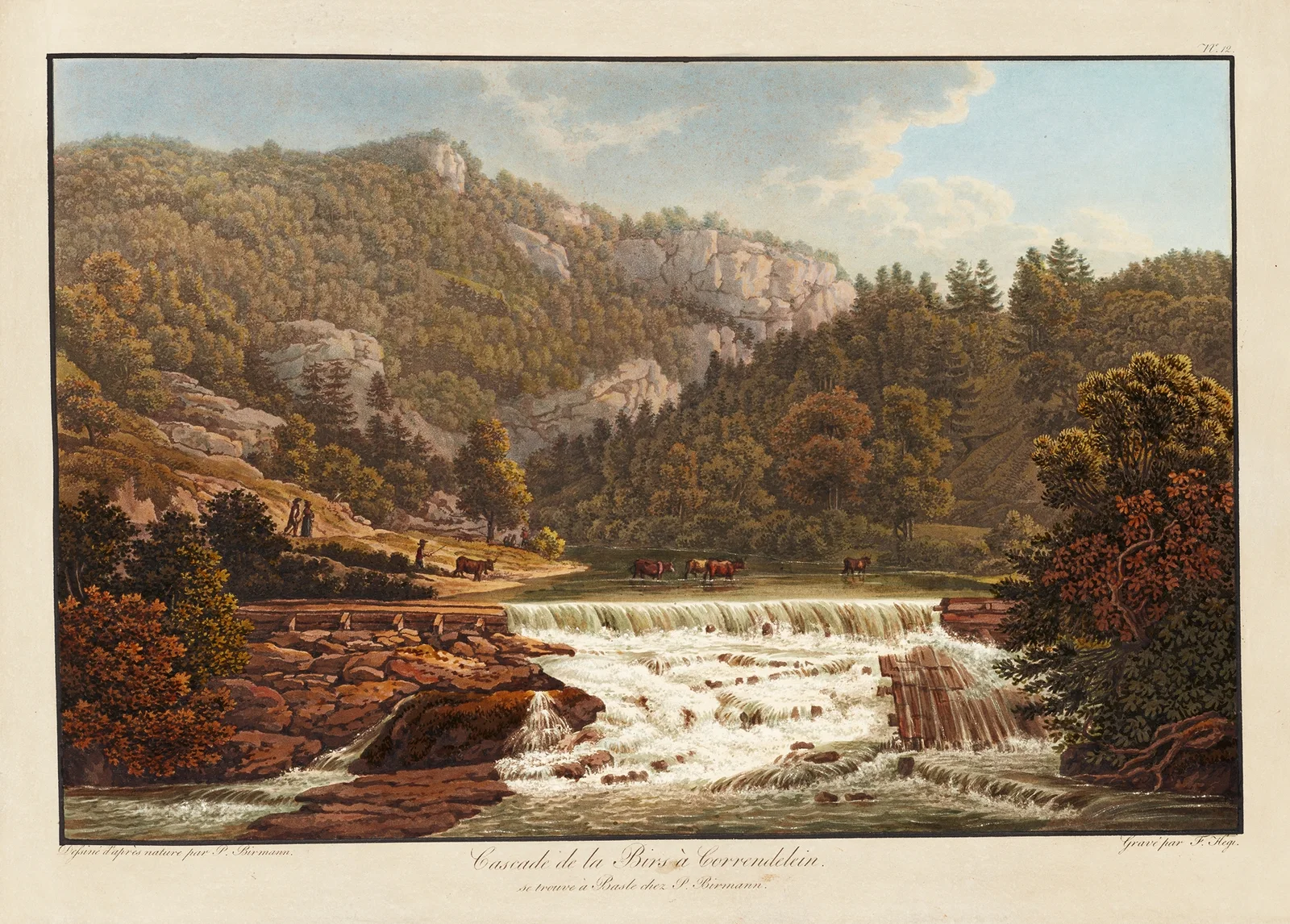 Cascade de la Birs à Correndelein av Peter Birmann