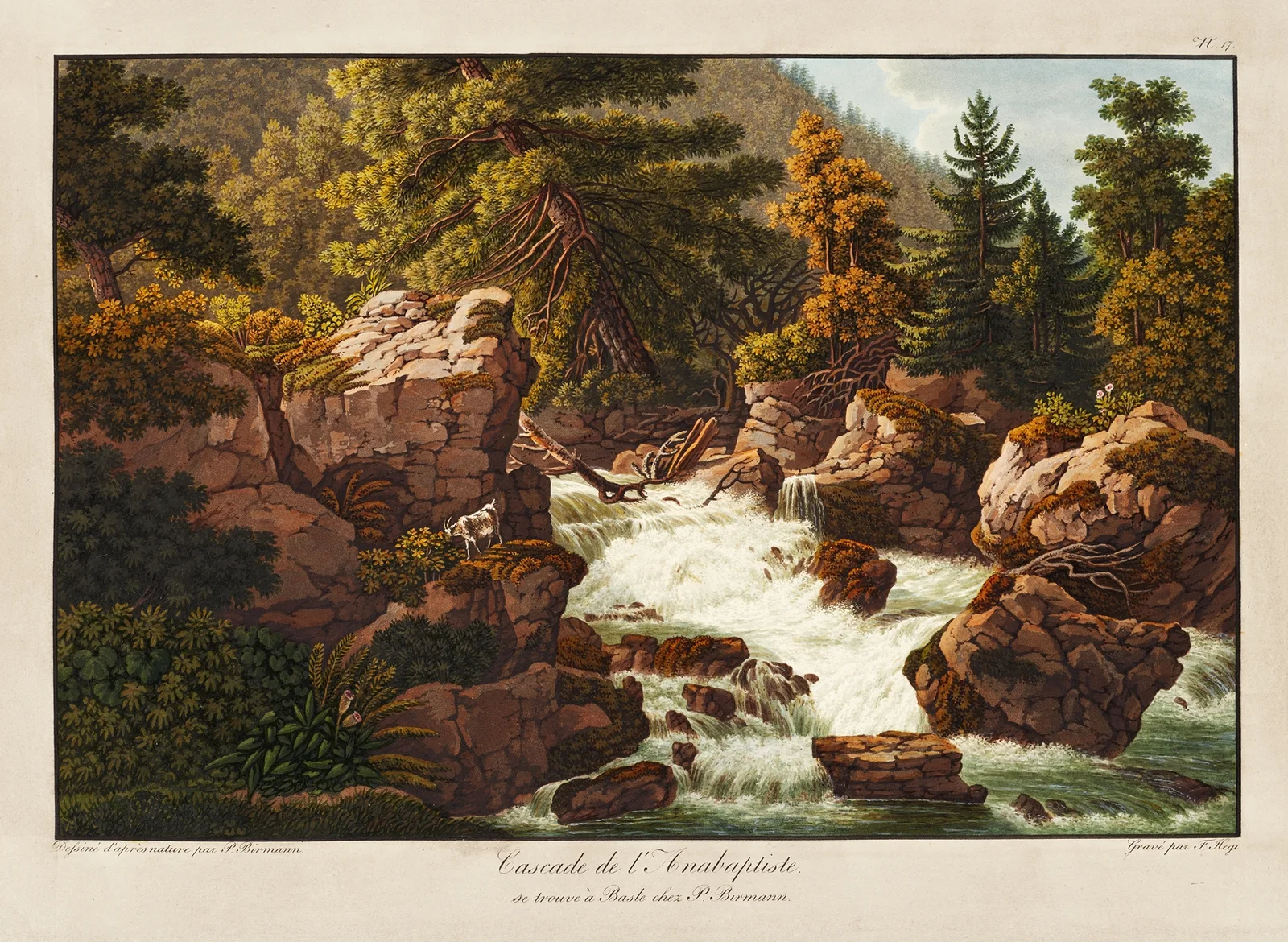 Cascade de l’Anabaptiste av Peter Birmann