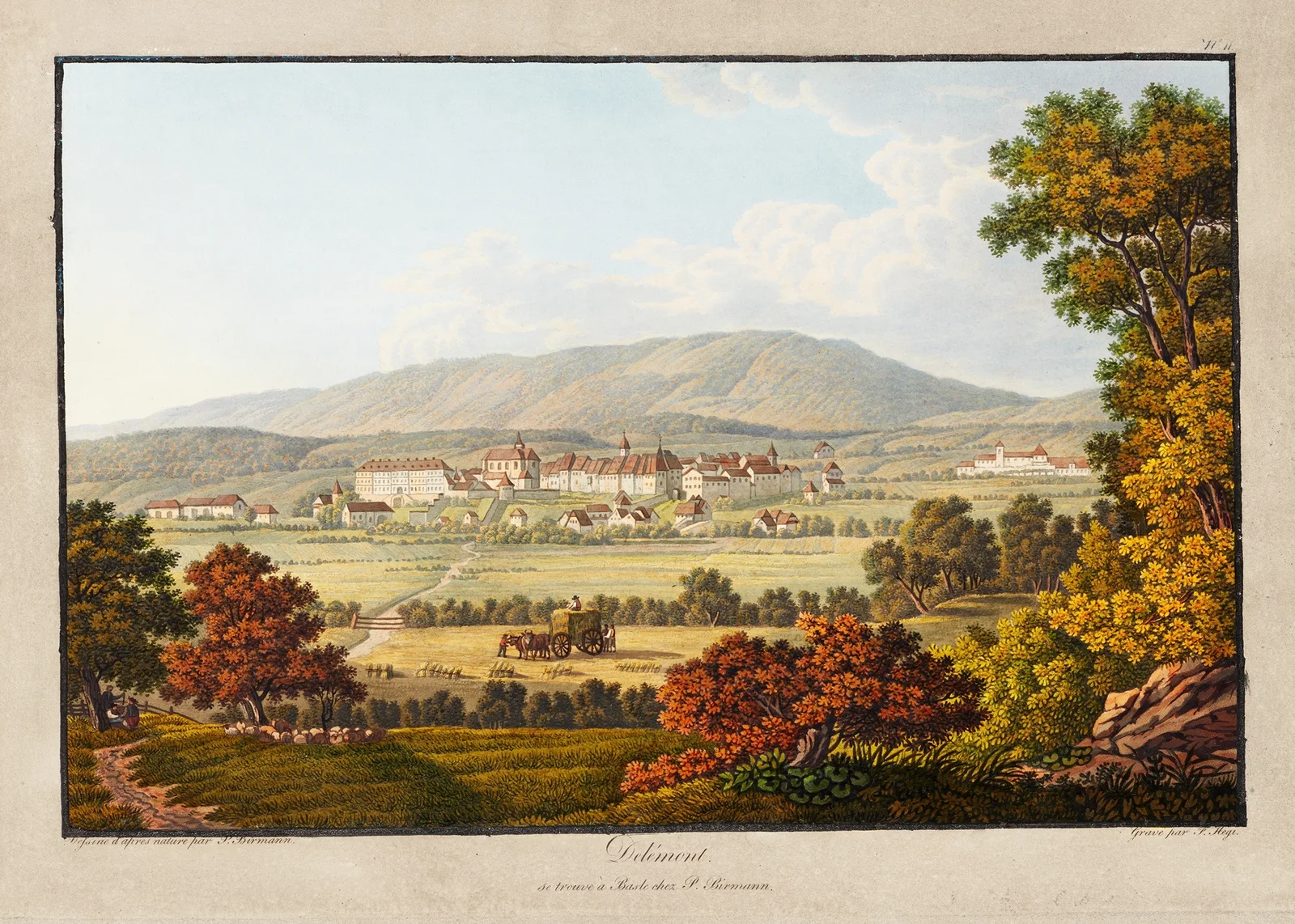 Delémont av Peter Birmann